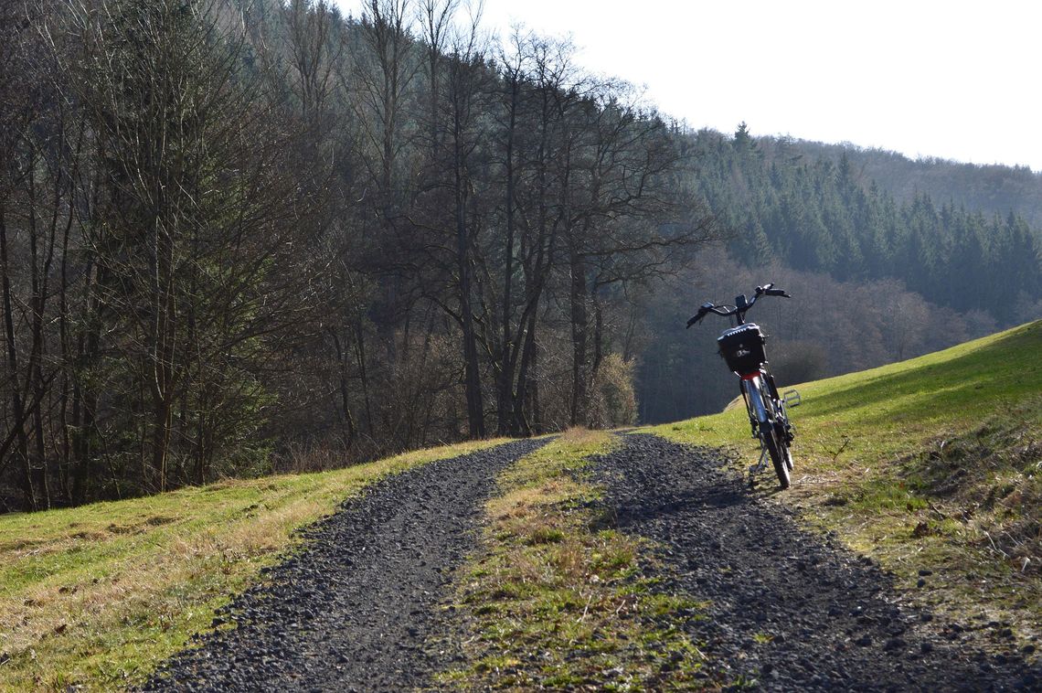 Duklę i Svidnik połączy szlak rowerowy. Na Grodzisku w Wietrznie powstanie singletrack Duklę i Svidnik połączy szlak rowerowy. Na Grodzisku w Wietrznie powstanie singletrack