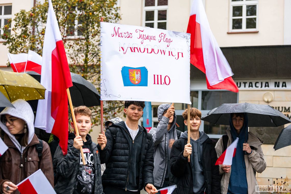 Marsz Tysiąca Flag Narodowych w Krośnie [ZDJĘCIA]