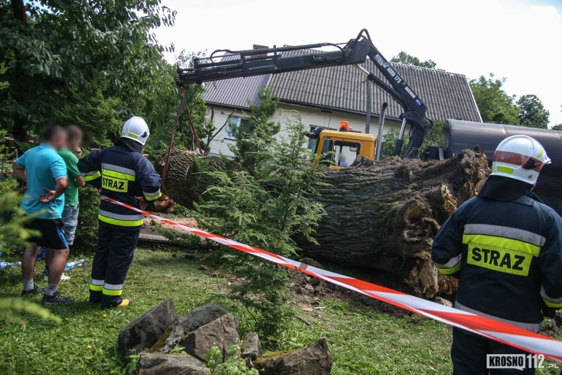 Głębokie: Potężny dąb przewrócił się koło kościoła