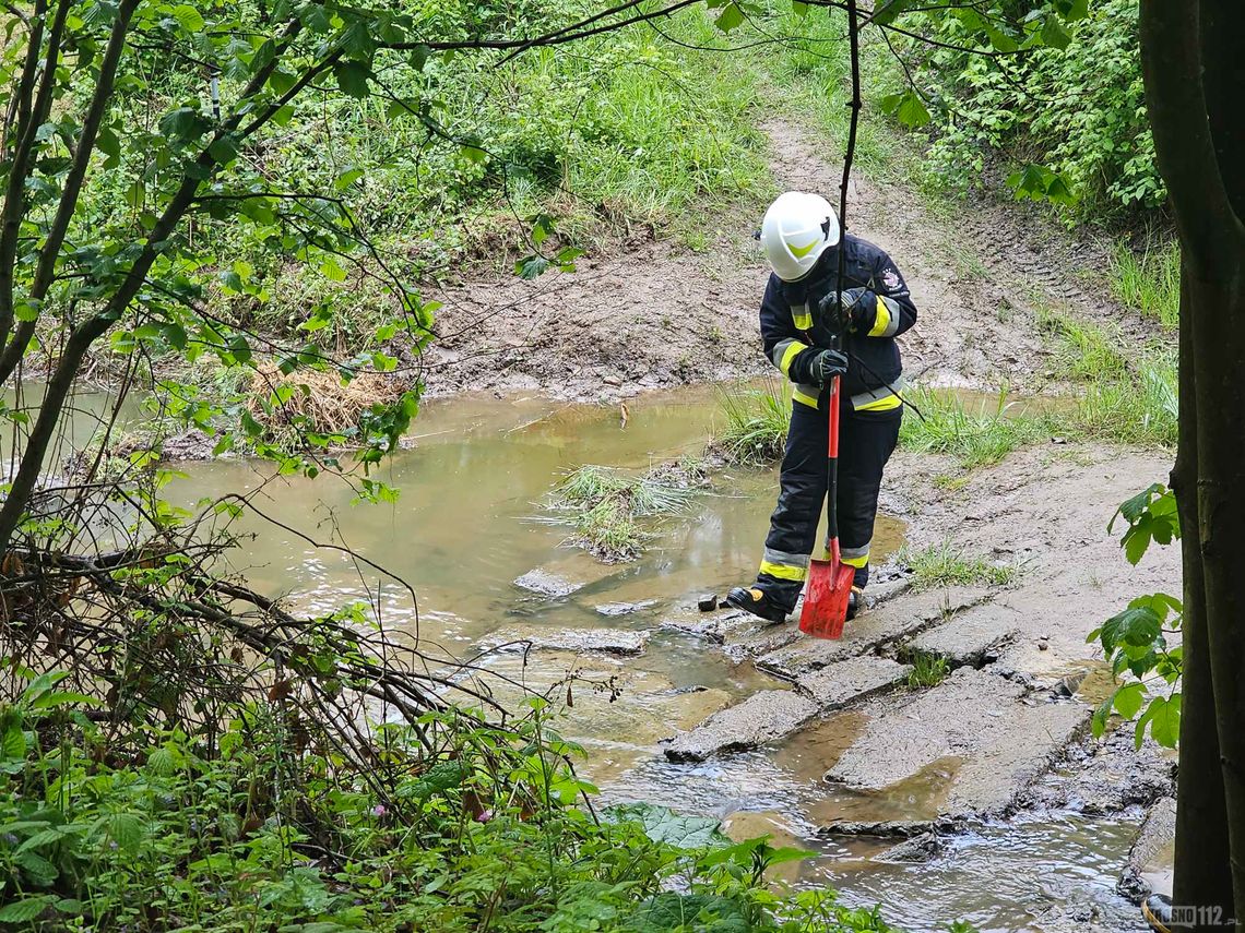 Głębokie. Strażacy ponownie zaalarmowani do ropy wpływającej do cieku wodnego