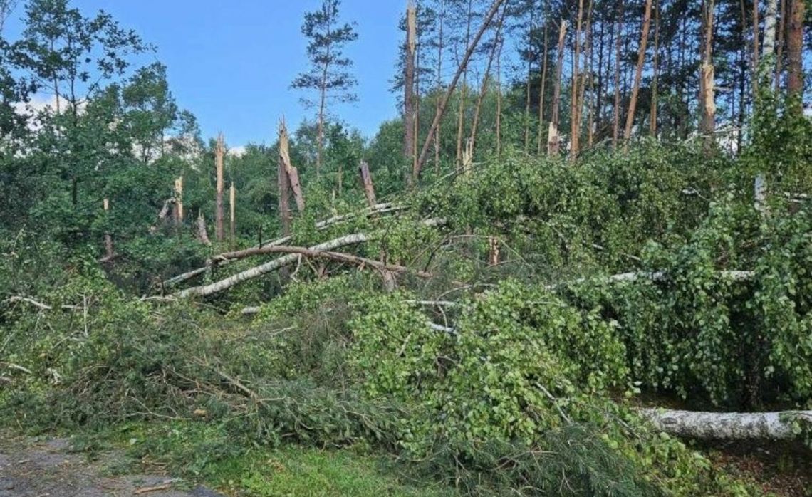 Podkarpacie. Huragan zniszczył doszczętnie około 30 hektarów lasu