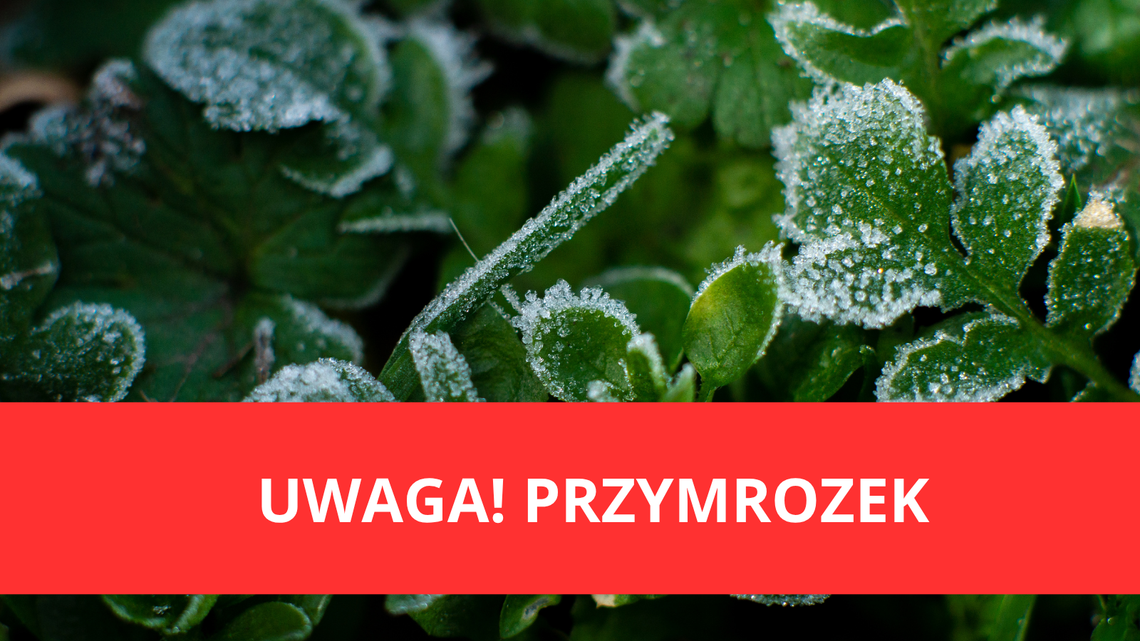 IMGW ostrzega przed lokalnymi przymrozkami. Temperatura spadnie do -2°C