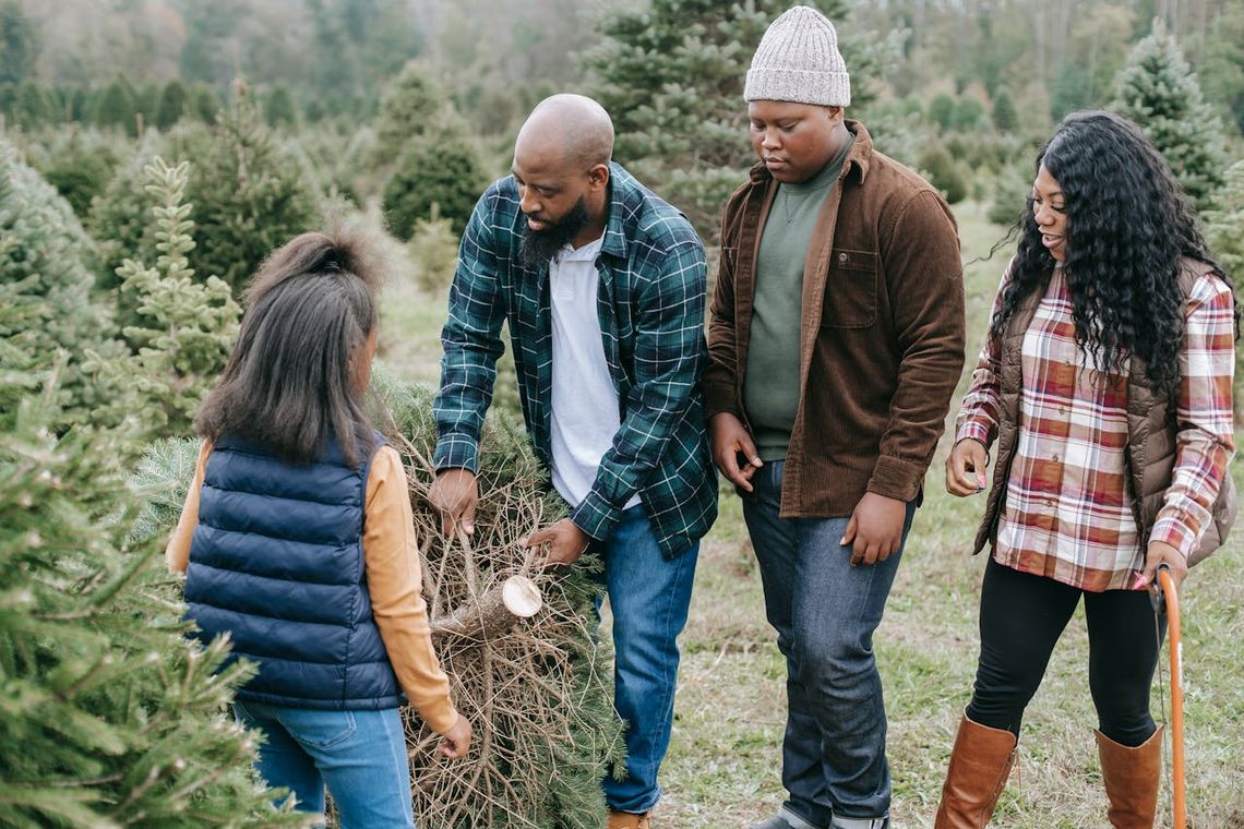 Jak wybrać idealną choinkę na pniu do swojego domu? Jak wybrać idealną choinkę na pniu do swojego domu?