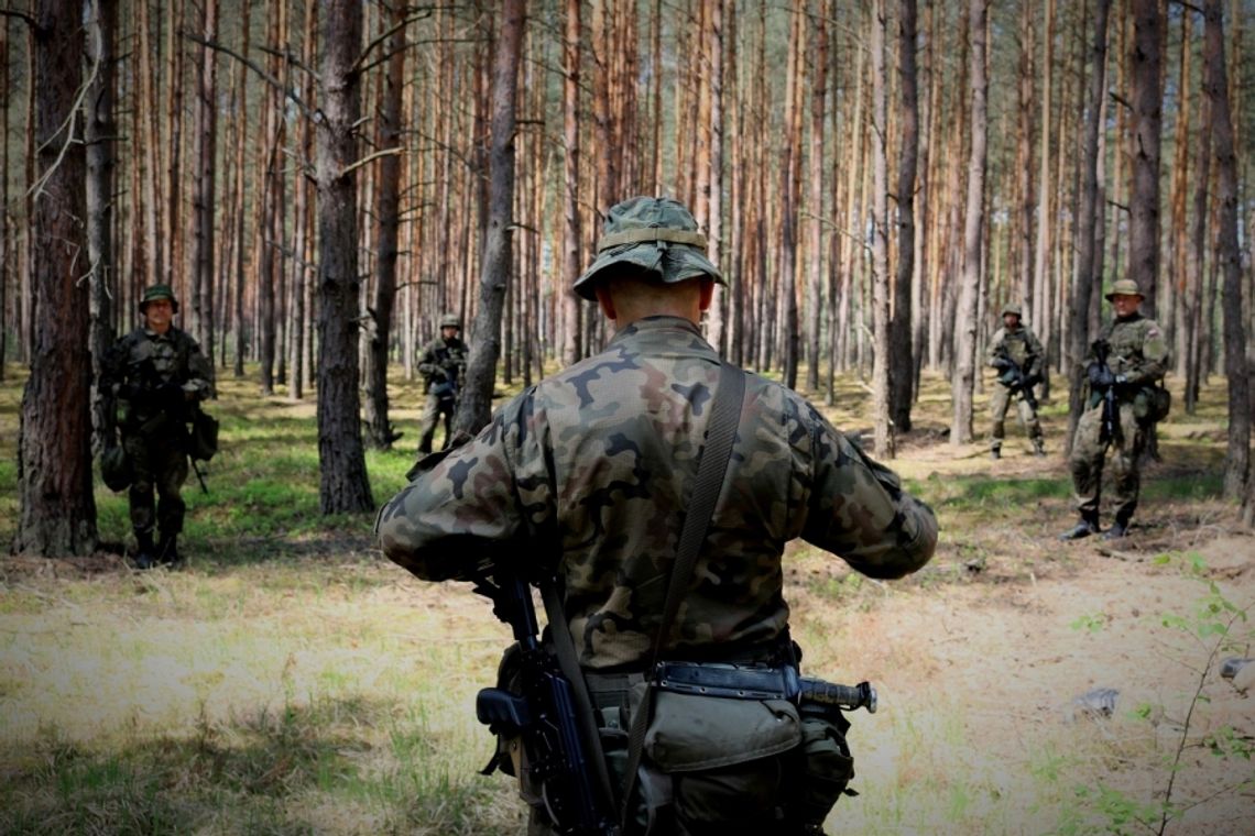 Jakie osoby mogą być powołane w pierwszej kolejności?