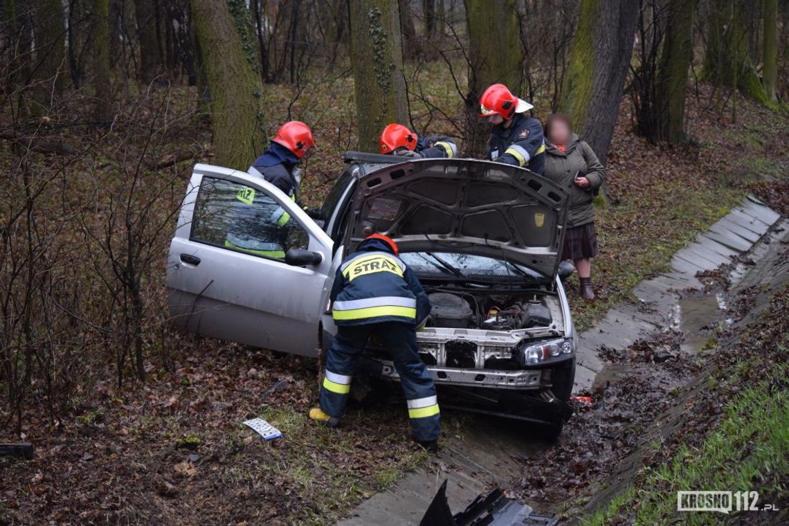 Jaszczew: Sarna wyskoczyła przed samochód