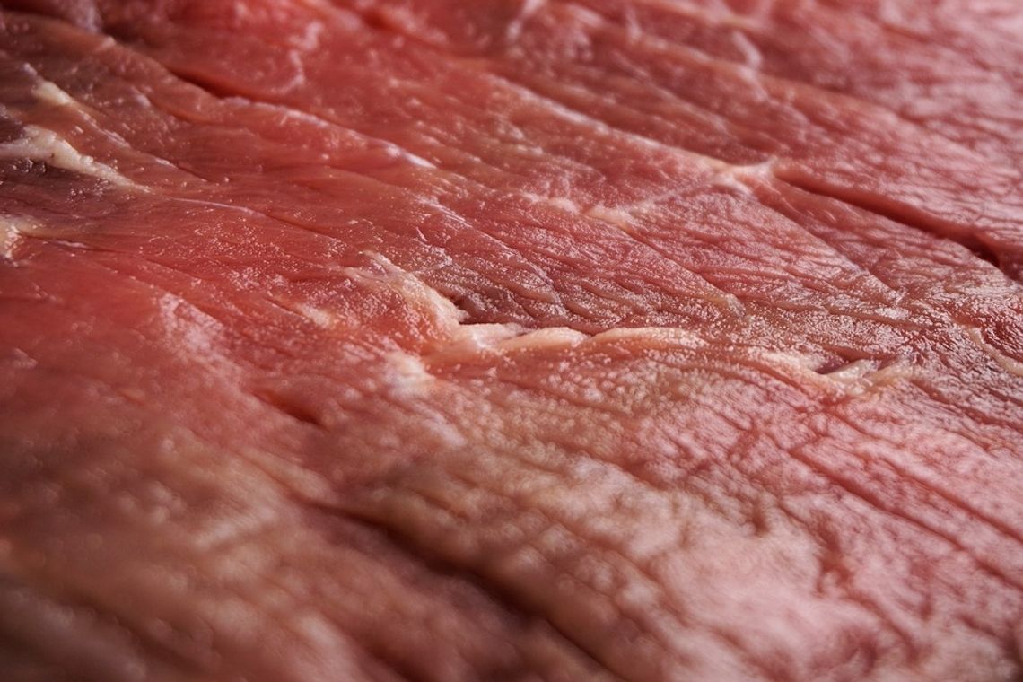 JASZCZEW: Ukradziono martwą sarnę, uwaga na skażone mięso