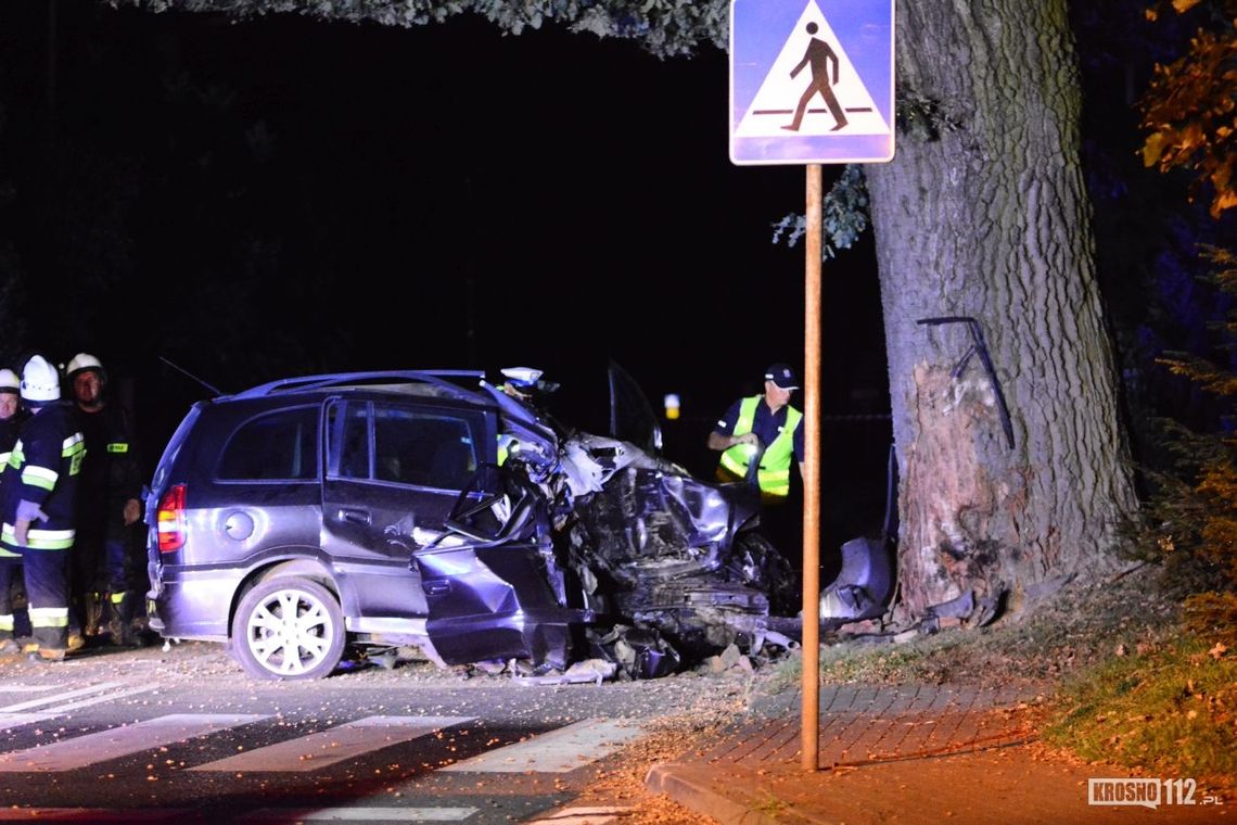 JEDLICZE: Opel uderzył w drzewo. Kierowca nie żyje