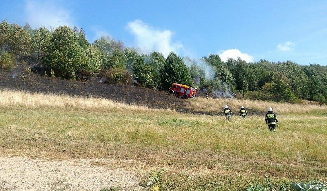 Jesienna plaga pożarów traw w naszym powiecie