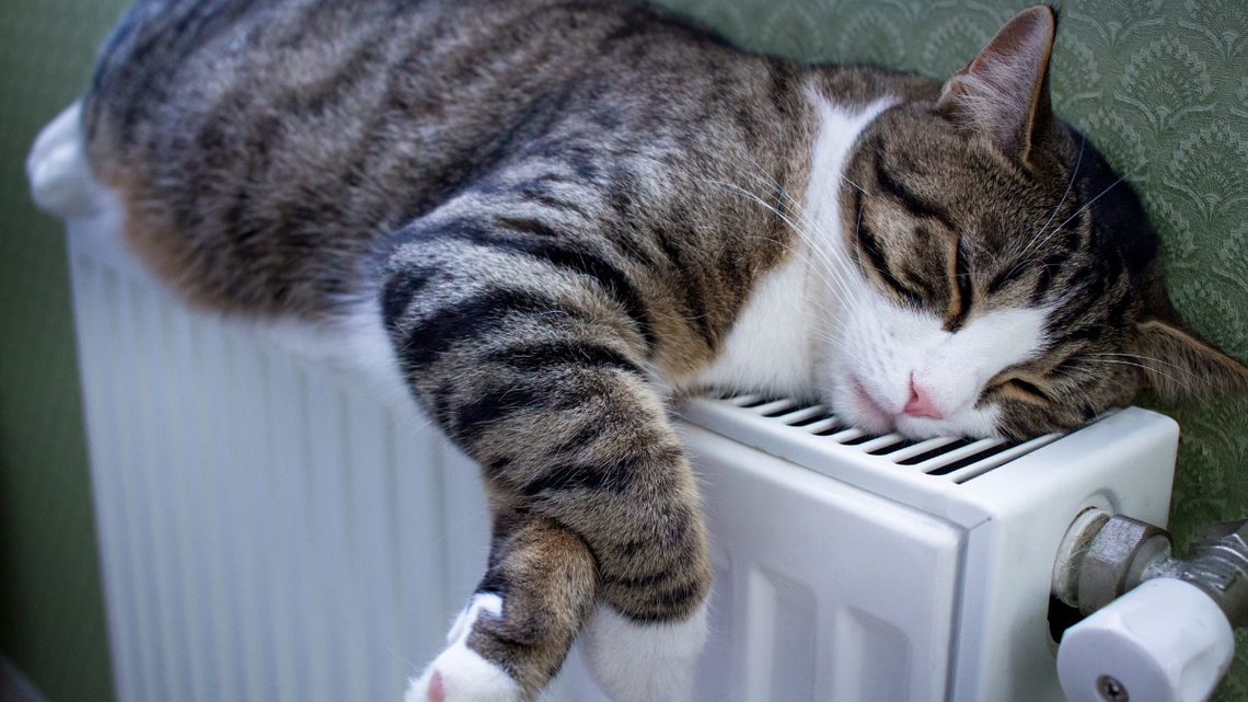 Już można składać wnioski o bon ciepłowniczy Już można składać wnioski o bon ciepłowniczy