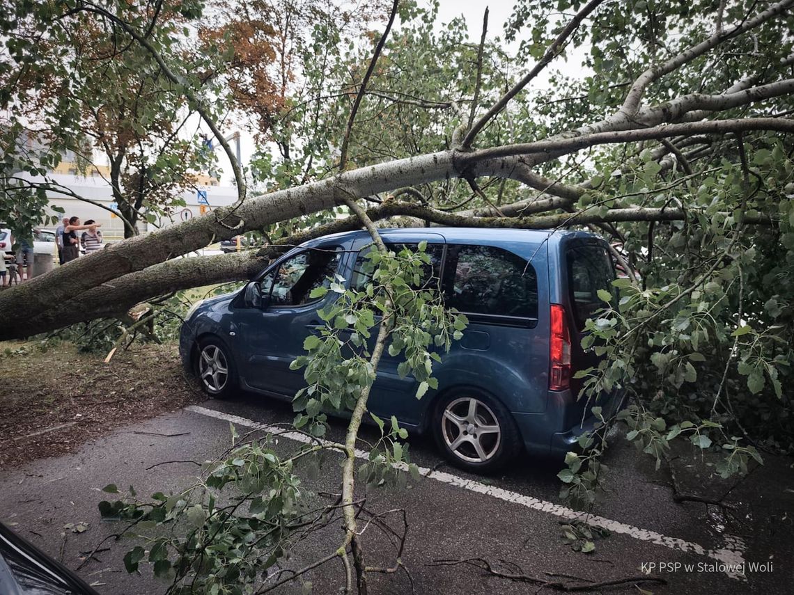 Kilkadziesiąt akcji strażaków po przejściu burz nad Podkarpaciem