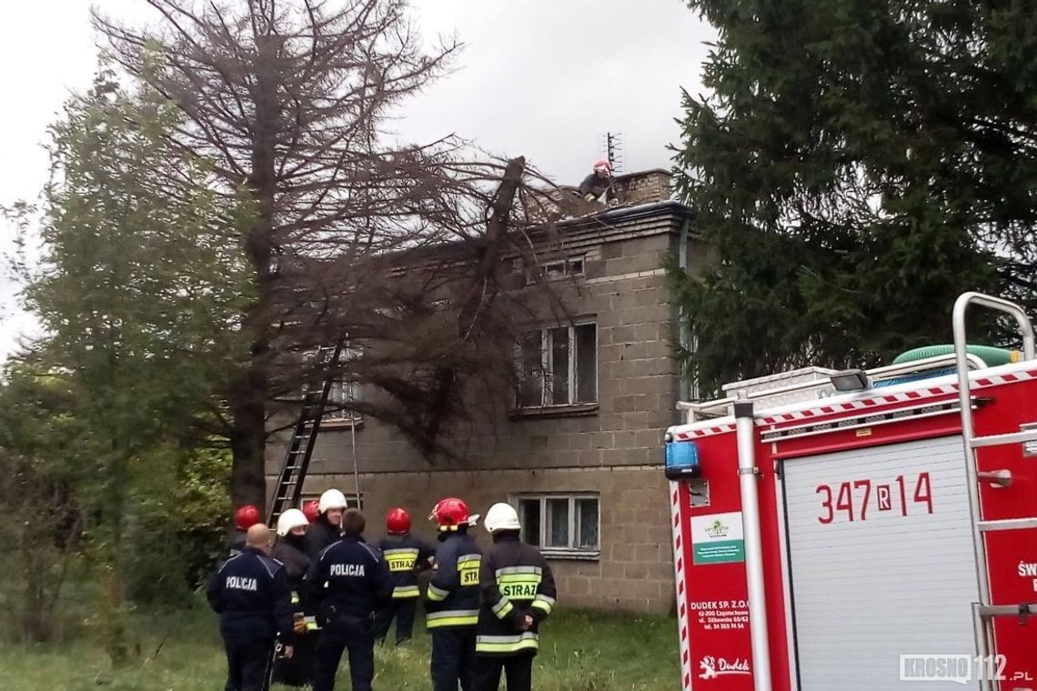 Kilkadziesiąt akcji związanych z silnym wiatrem