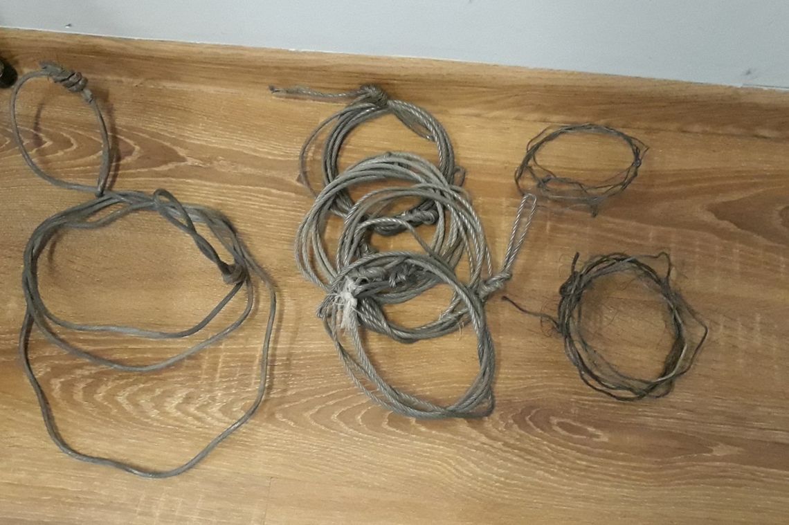 Kłusownictwo jest wciąż problemem w podkarpackich lasach. Ale leśnicy są coraz bardziej skuteczni