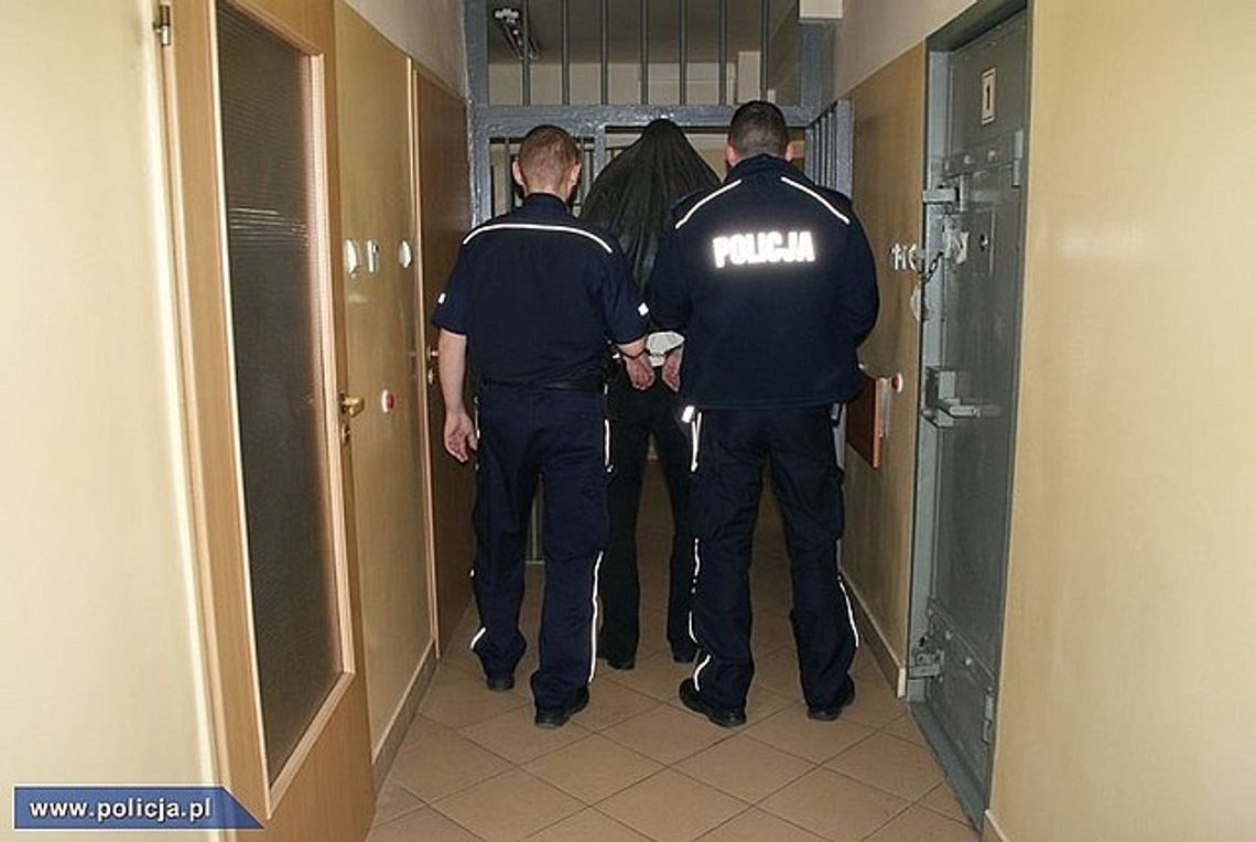 Kolejna akcja Policji w walce z pedofilią. Dwóch krośnian przesłuchanych.