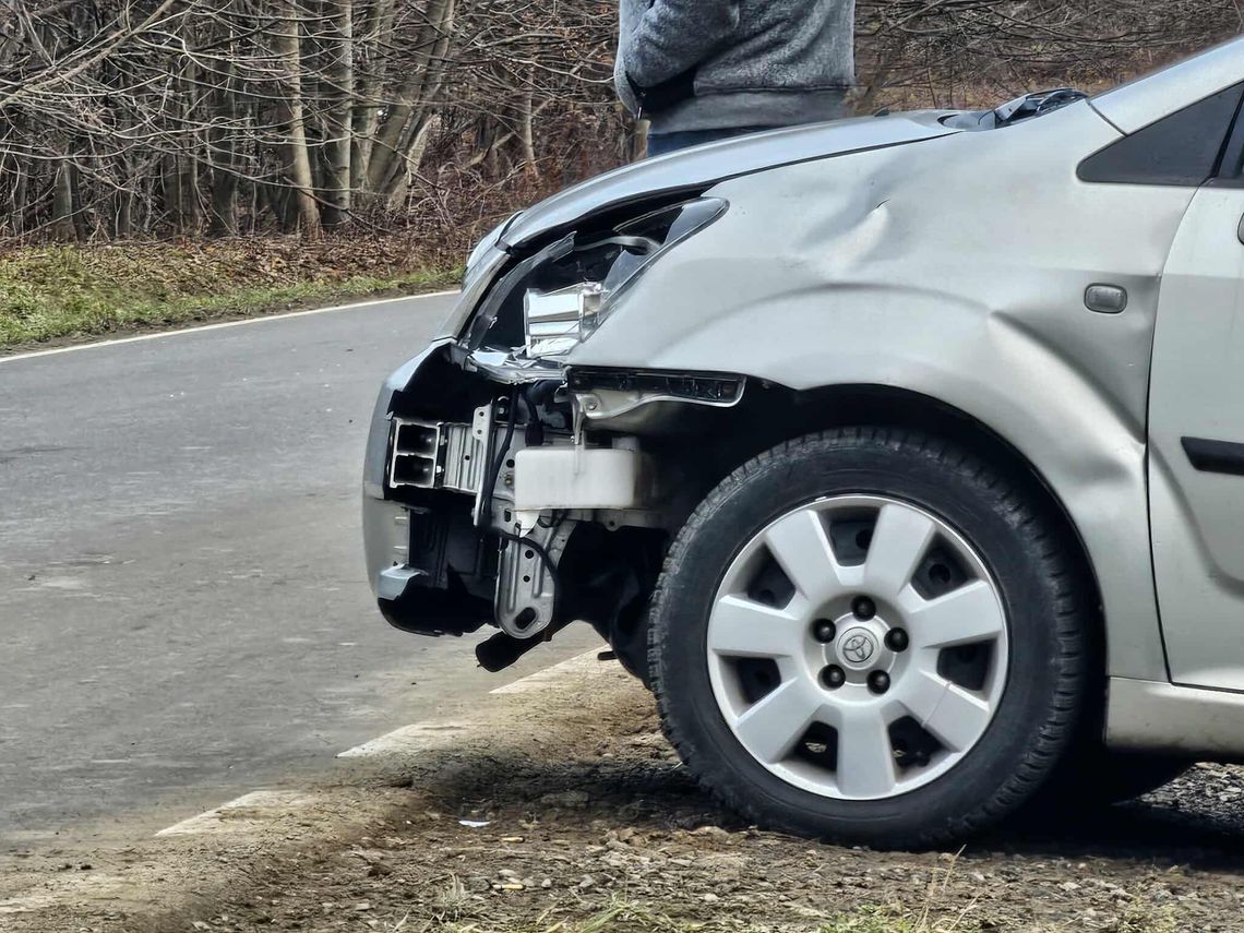 Kolejne dzikie zwierzę spowodowało kolizję