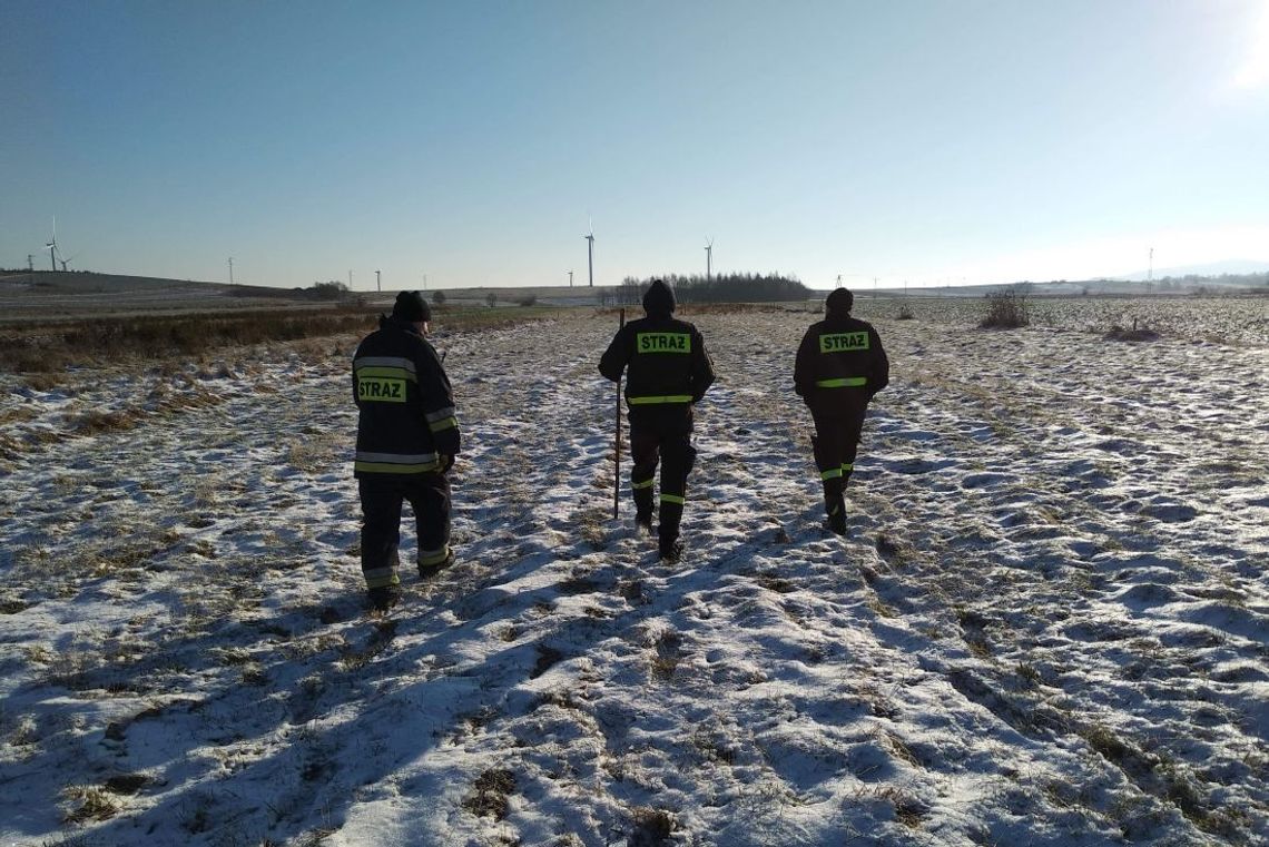 Kolejne poszukiwania zaginionego Kazimierza Pernala