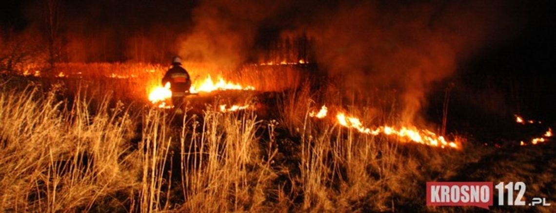 Kolizja dwóch samochodów na ul. Sikorskiego