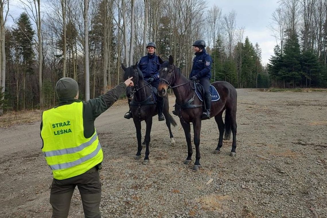 Konne patrole policji i straży leśnej prowadziły akcję w lasach