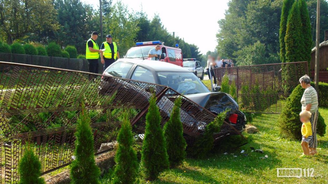 Kopytowa: Zjechała z drogi, bo do samochodu wpadła osa