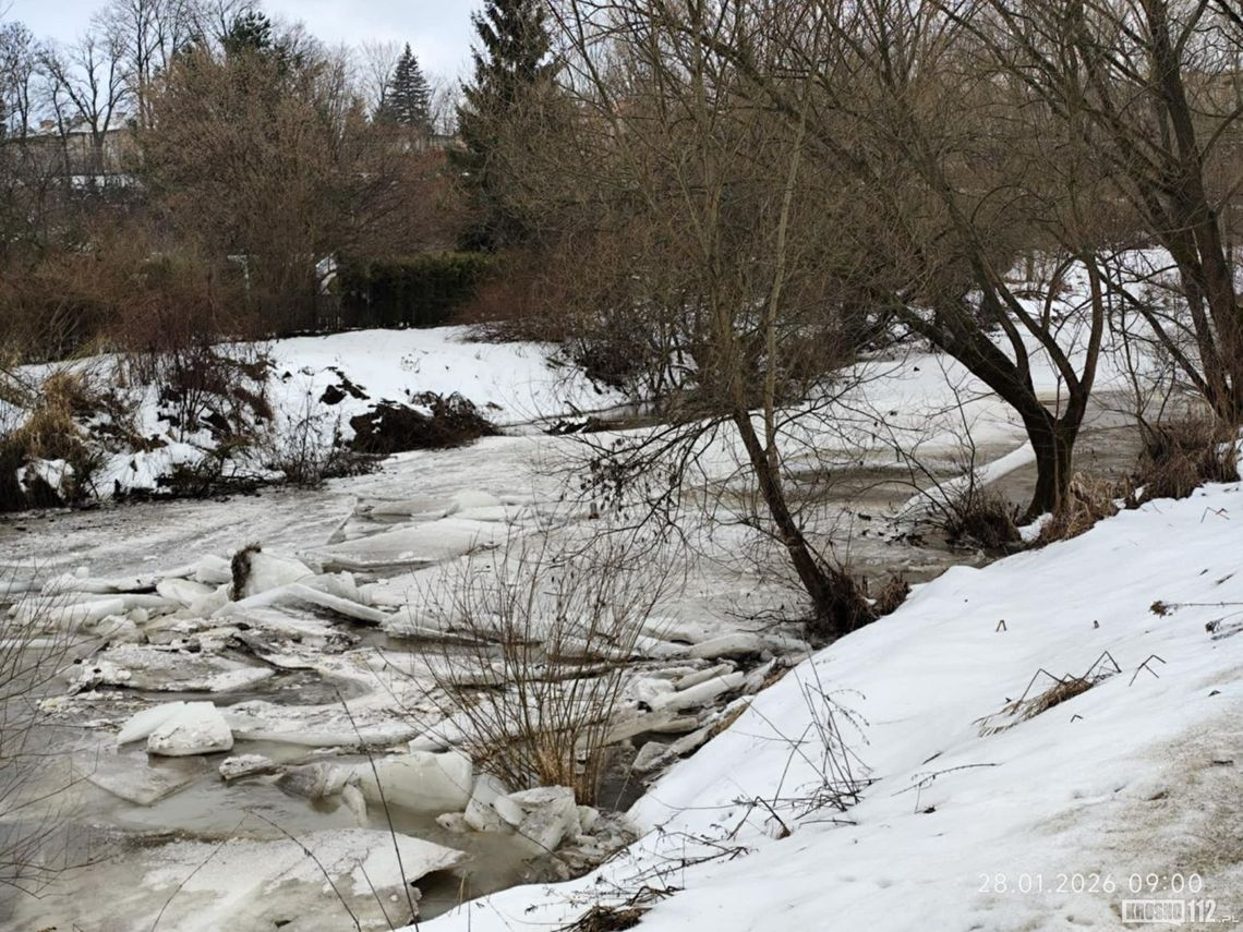 Kra na Wisłoku i Jasiołce. Służby monitorują sytuację, zagrożenia brak [ZDJĘCIA]