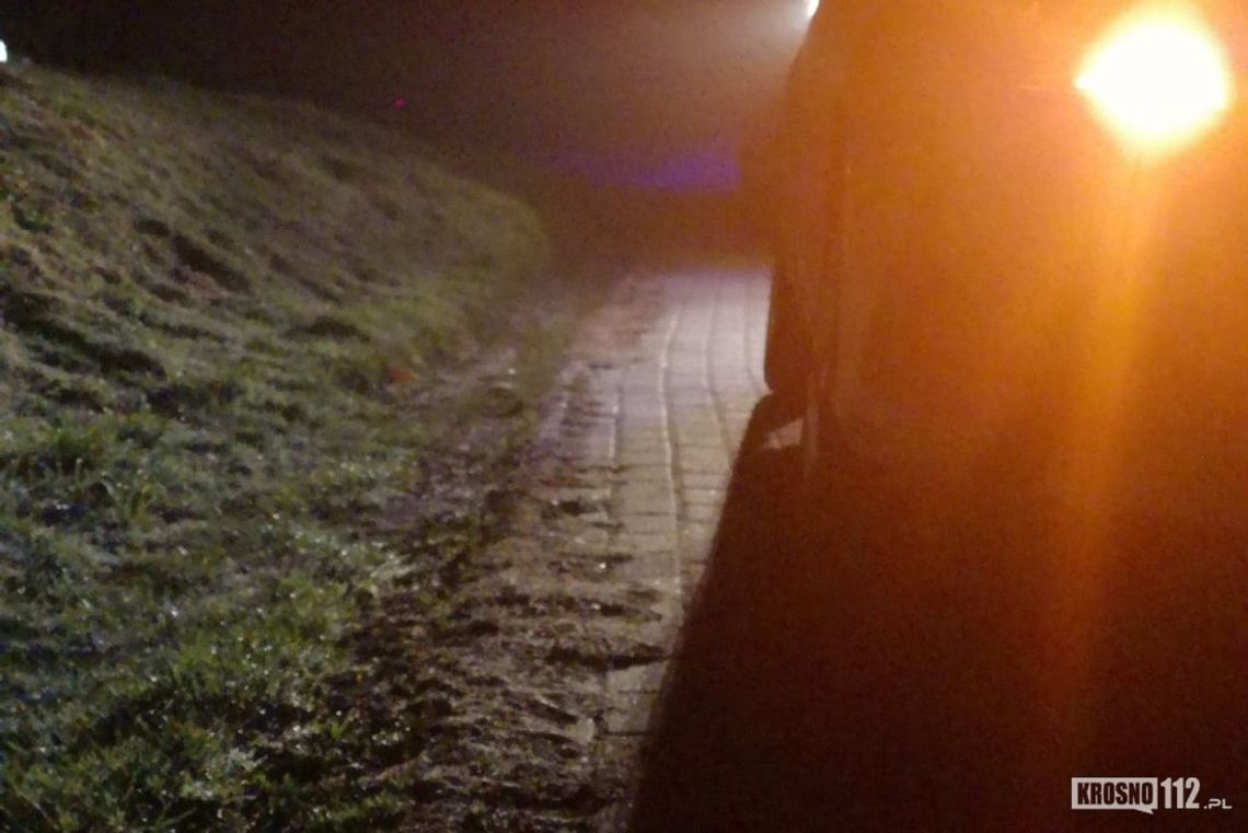 KROŚCIENKO WYŻNE: 18-latka straciła panowanie nad pojazdem i zjechała z drogi