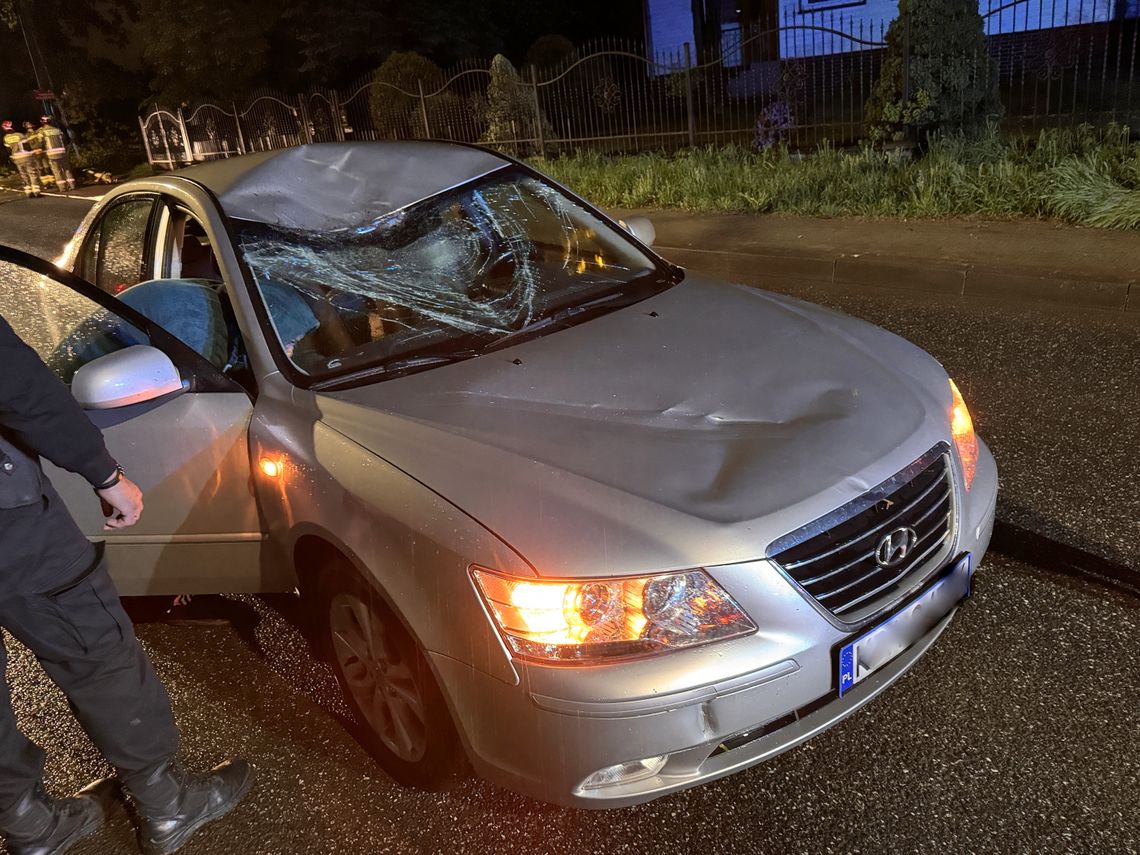 Krosno. Konar spadł na jadący samochód Krosno. Konar spadł na jadący samochód