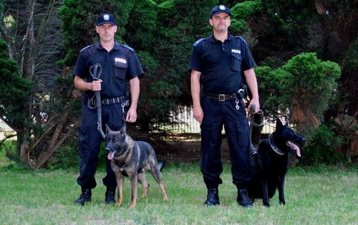 Krosno ma najlepszych przewodników psów policyjnych na Podkarpaciu