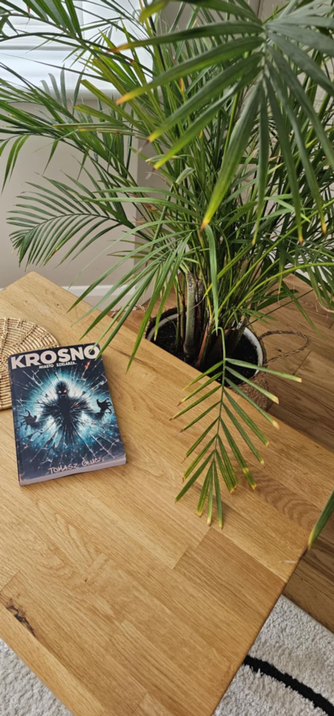 "Krosno. Miasto Szklarza" – Mroczna opowieść Tomasza Głuca osadzona w szklanej tradycji naszego miasta
