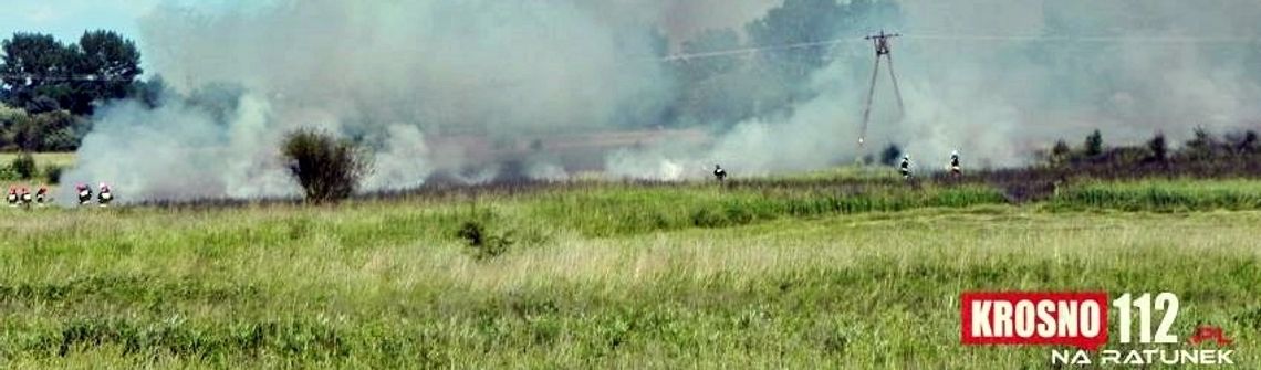 Krosno: Mieli kolizję, nie dojechali na egzamin z Prawa Jazdy