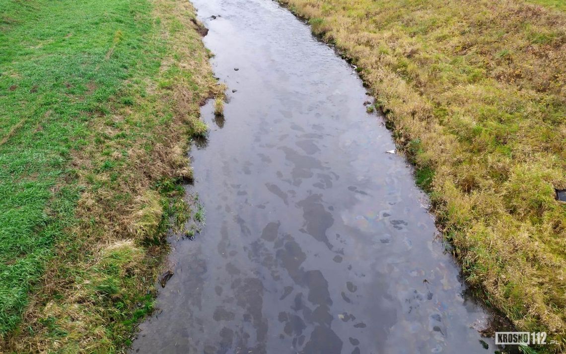 Krosno. Oleista plama na Wisłoku [AKTUALIZACJA]