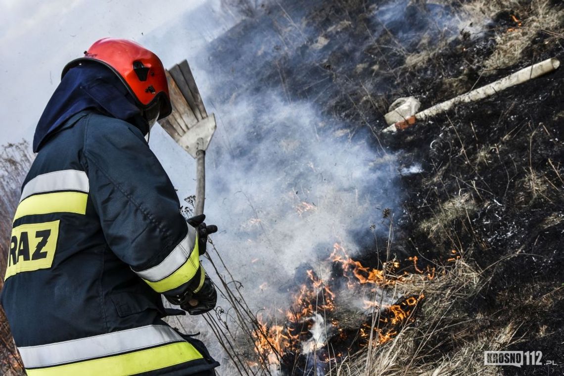 Krosno: Pożar traw przy ulicy Sikorskiego