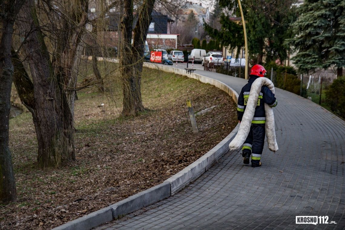 "Krosno wiosną", czyli wspólne sprzątanie miasta