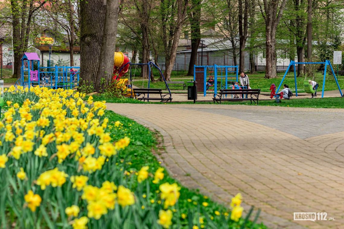 Krosno Wiosną. Wydarzenie, które budzi miasto w rytmie natury