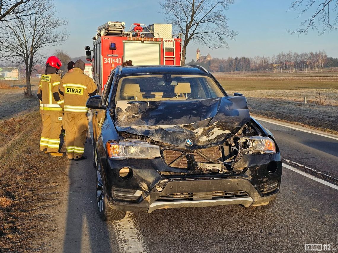 Łania wbiegła tuż pod jadące BMW. Wypadek na DK28