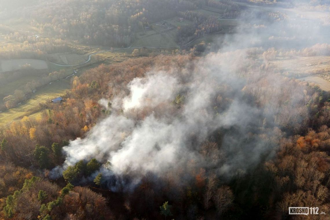 Wzrasta zagrożenie pożarowe w lasach! Podkarpaccy strażacy gasili prawie 150 pożarów lasów