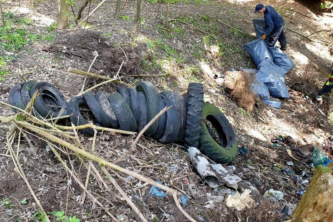 Leśnicy kolejny raz posprzątali las. W sumie było ponad dwie tony śmieci!