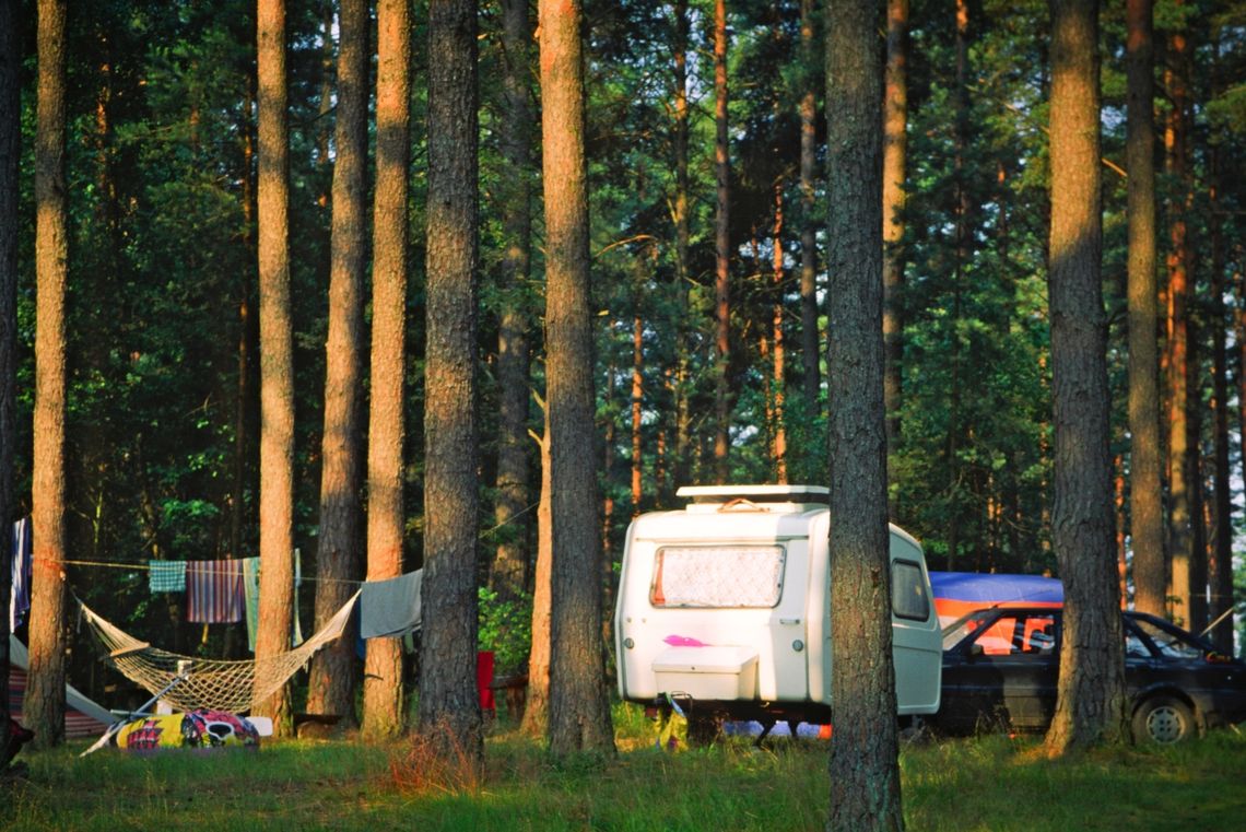 Leśnicy zebrali w jednym miejscu ofertę turystyczną nadleśnictw. Zachęcają do korzystania z serwisu