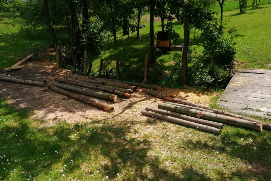 Leśnicy złapali złodziei drewna. Wystawili też mandaty za wjazd do lasu