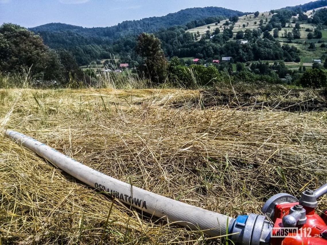 Lubatowa: Pożar łąki. To kolejne zdarzenie związane z suszą