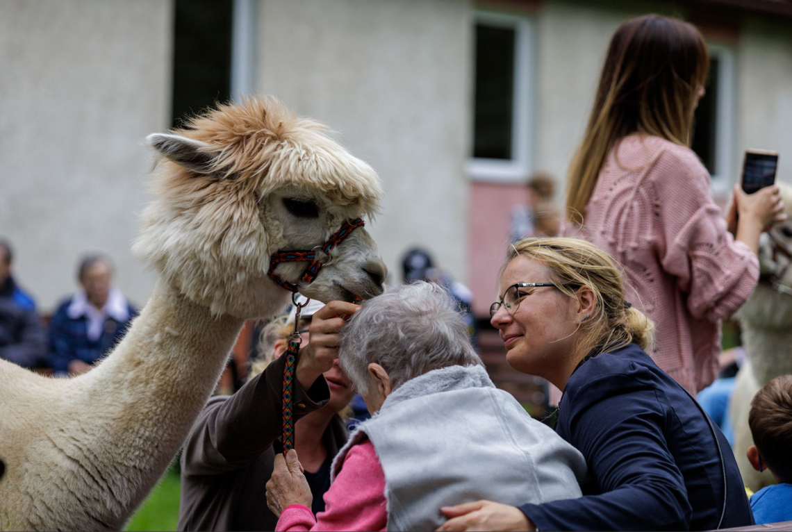 Masz pomysł na działania kulturalne w Krośnie? Wystartował konkurs grantowy