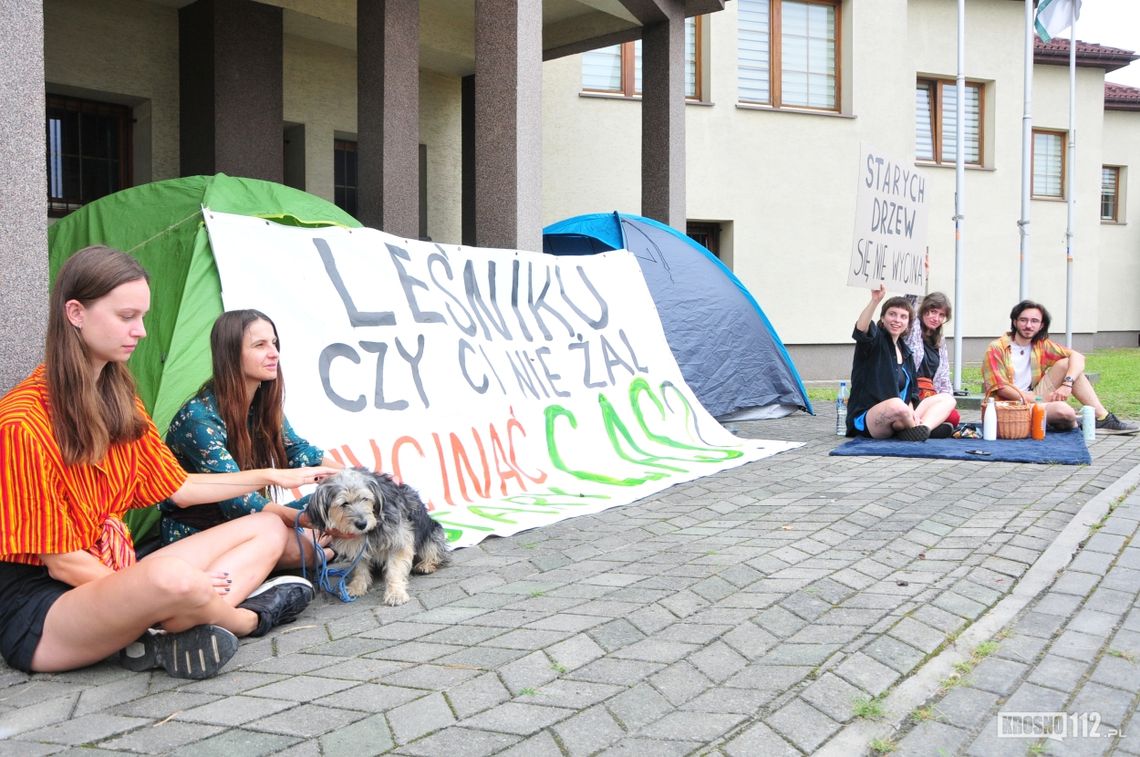 Miasto zareagowało na pikietę przed budynkiem RDLP w Krośnie