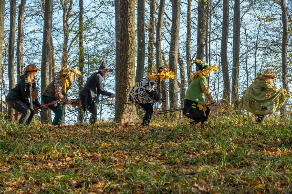 Miłośniczki nordic walking z Krościenka Wyżnego trenują w lesie i dobrze się bawią