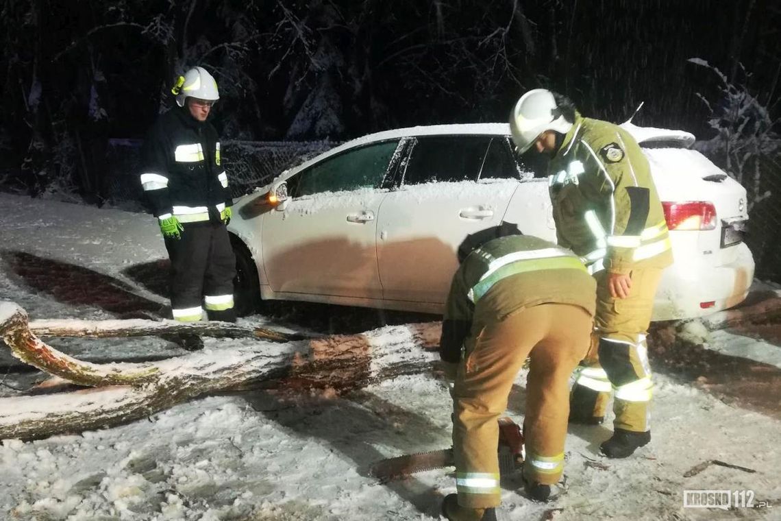 Mokry śnieg powoduje, że drzewa spadają na jezdnie, tory kolejowe i budynki. Brak prądu w wielu domostwach