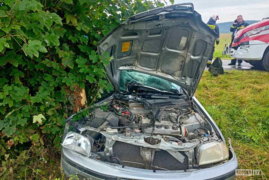 Moszczaniec. Hondą wjechał w drzewa