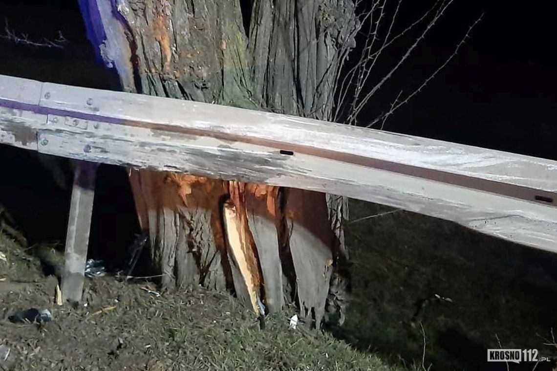 Na łuku drogi wjechał w barierki i drzewo