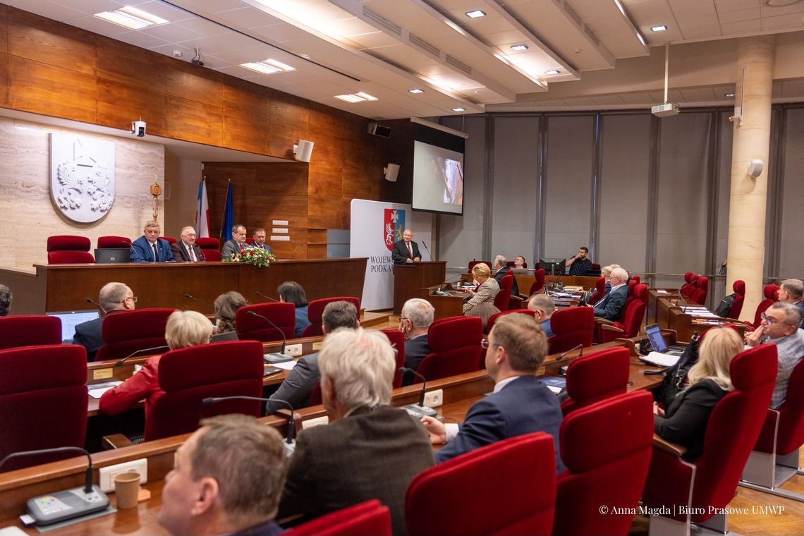 Na sesji sejmiku województwa o wstrzymaniu wycinki lasów