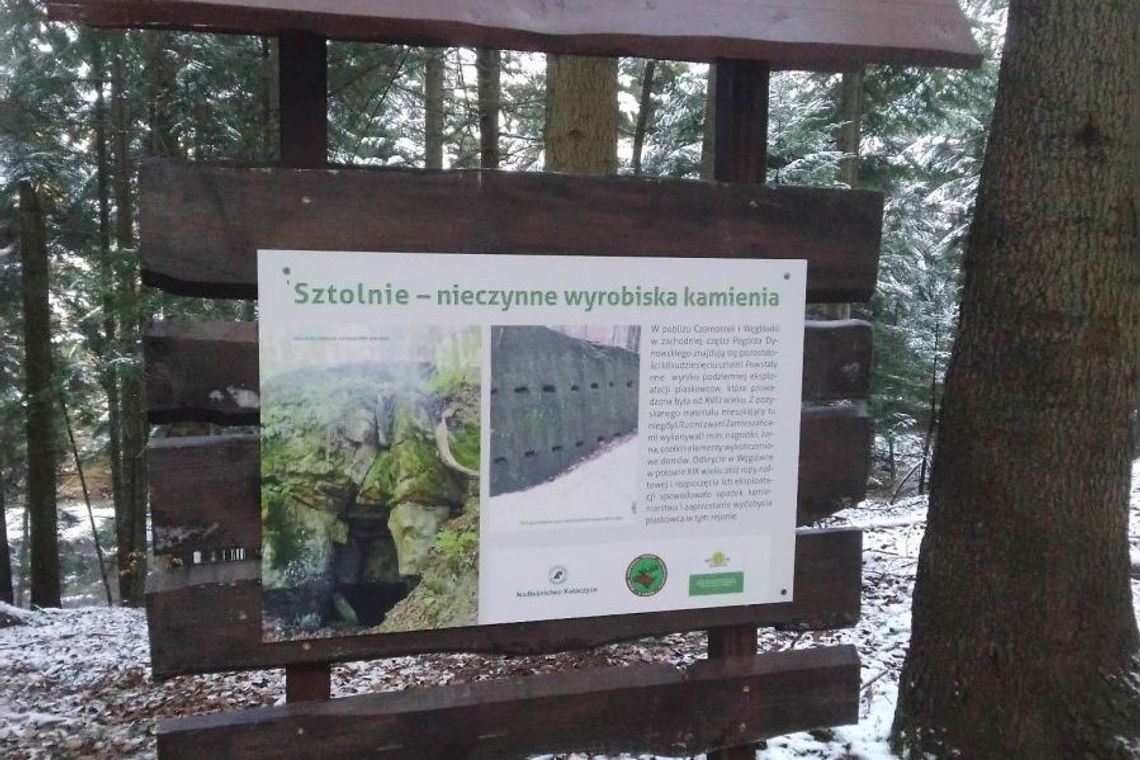 Na terenie gminy Korczyna powstała nowa ścieżka edukacyjno-przyrodnicza