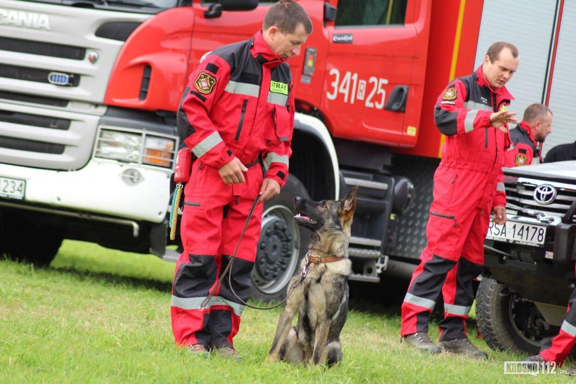 Najlepsze zawody 2026. Są poszukiwane i dobrze płatne