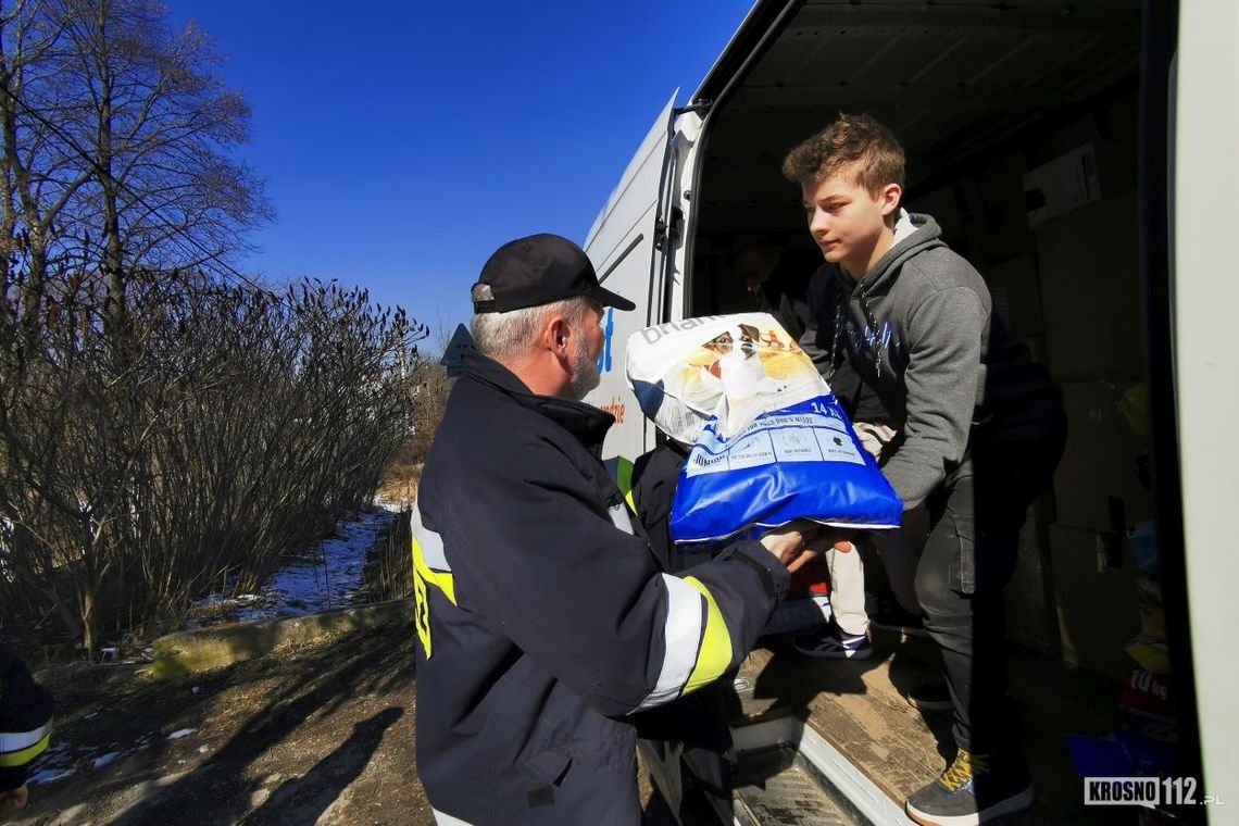 Najmniejsi przyjaciele w potrzebie - trwa zbiórka na rzecz zwierząt w Ukrainie