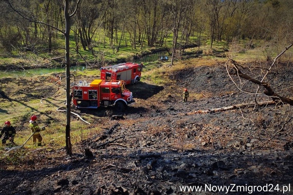 Najwyższy stopień zagrożenia pożarowego w lasach. Leśnicy apelują o ostrożność.