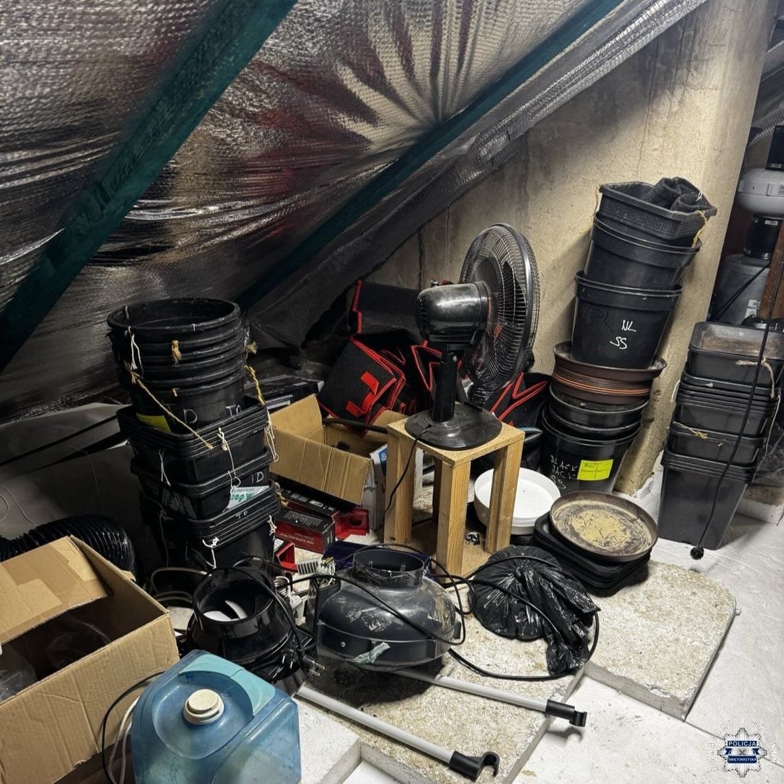 Narkotyki w mieszkaniu 31-latka. W akcji policjanci z Krosna i Kielc Narkotyki w mieszkaniu 31-latka. W akcji policjanci z Krosna i Kielc